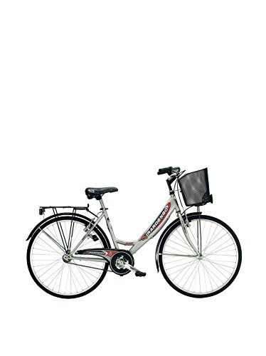 Preisvergleich Produktbild Girardengo Monotrave Hollandfahrrad, Stahl, Grau