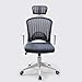 Produktbild Boss Chair, Gaming Stuhl, Luxus Racing Sport High Back Freizeit Mesh Swivel Bürostuhl Schalensitz Executive Office Desk Chair - Weiß (Color : Blue)