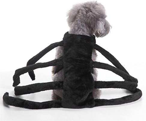 Moonuy Halloween Pet Dog Dresses Ghost Festival Dress Up Jacket Spider Section Clothes Cute Fashion (M, Black)