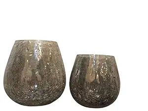 Helium Aesthetic Glass Vase Combo 2pc for Home Dcor Center Table Decoration