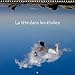 La tete dans les etoiles...