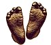 Basic 3D Handprint Footprint Baby Casting Kit Materials with Metallic Bronze paint by BabyRice