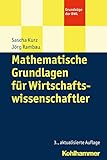 Mathematische Grundlagen für Wirtschaftswissenschaftler (Grundzüge der BWL) by 