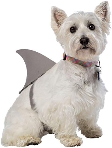 Rasta ImpostaShark Fin Dog Costume