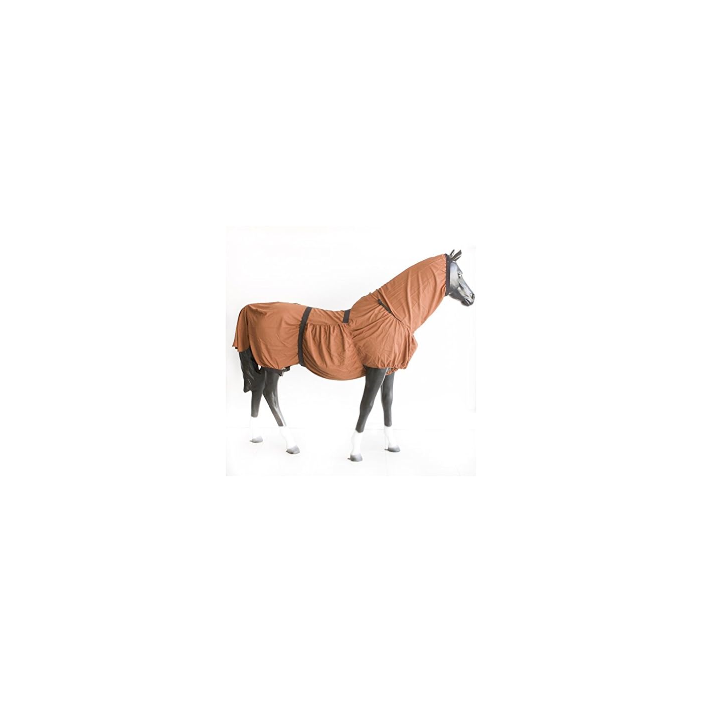 Horse ‘n’ Pony