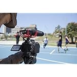 Rode-Rycote-Edition-VideoMic-Line-Gradient-Polar-Pattern