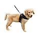 Price comparison product image Dog Harness Reflective Dog Collar Padded Extra Chest Straps with Handle Keeps Your Dog Safe On Walks and Car Rides (S - Chest 17.72-22.05", Black)