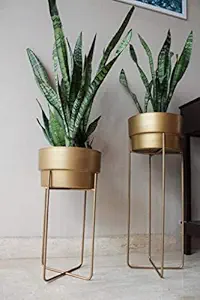 Casa Rustica Metal Flower Pot Stand with Bucket, Gold- Set of 2 (20 x 20 x 26 cm) Suitable for Indoor, Outdoor Plants
