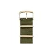 Produktbild Roobaya Apple Watch Nylon Armband Grün 38 mm: Wechselarmband mit Adapter und Schließe in Aluminium Gold, für Series 1, 2, 3