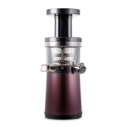 Hurom HG-FBE11 Slow Juicer HG Serie 2 Generation Edelstahl, 40 U/min Entsafter, schokolade - 4