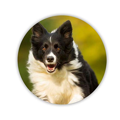 Gogh Yeah Print Collie Mdf Material For Girl Personalised Use For Coaster Circle