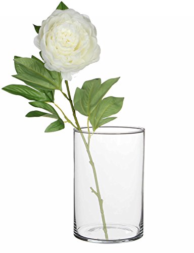 Mica decorations 1022989 Cilla Vase, Glas, Transparent, 13 x 13 x 20 cm - 2