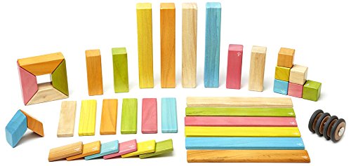 Tegu Magnetic Wooden Block Set (42-Piece, Tints)