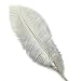 Produktbild 10PCS Straußenfeder 20–25 cm Hochzeit Dekoration Artware Crafts wunderschönes Gefieder Zubehör weiß