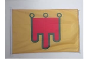 AZ FLAG - Drapeau Auvergne - 45x30 cm - Pavillon Nautique Auvergnat - Comté D'Auvergne Spécial Bateau Et Extérieur En Maille Bloquée Avec Anneaux Plastiques Intégrés - 30g