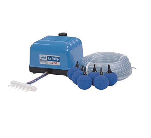 AquaForte Original-SET Luftpumpe Hailea V60, 57l/min bei 1,2m, inkl. 10 Steine und 50m 4/6 Schlauch