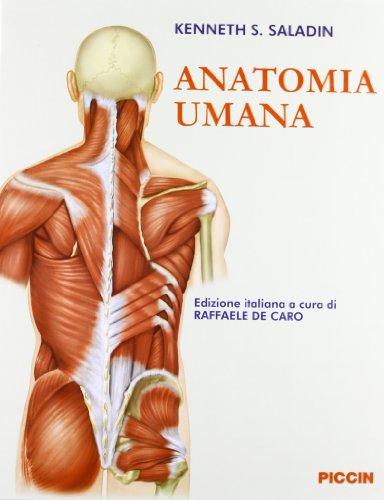 Anatomia umana Anatomia umana