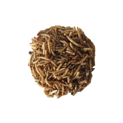 Preisvergleich Produktbild Mehlwuermer 1000ml