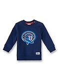 Sanetta Baby Boys 113554 Hoodie