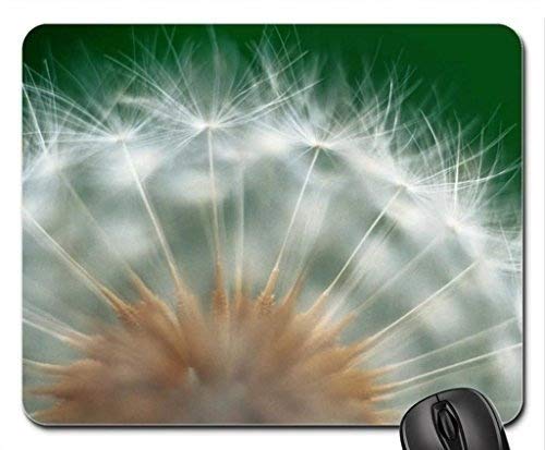 Preisvergleich Produktbild Löwenzahn-Mausunterlage, Mausunterlage * Blumen-Mausunterlage