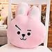 Produktbild Haol Bangtan Boys Dekokissen Cute Cartoon Doll Kissen Kissen BTS BT21 Kissen,Rabbit,13.8''*17.7''