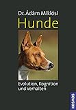 Buch-Cover Hunde - Evolution, Kognition und Verhalten