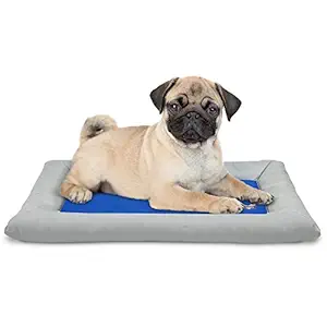 Arf Pets Dog Self Cooling Bed Pet Bed ? Solid Gel Based Self Cooling Mat for Pets, Includes a Foam Based Bolster Bed for Extra Comfort