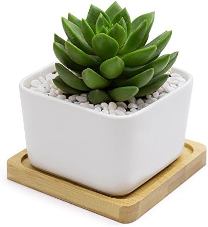 Innoter Ceramic Succulent Plant Pot White Square Planter with Bamboo Tray White