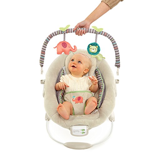 Bright Starts 60216 Babywippe Cozy Kingdom - 3