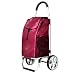 Produktbild HXPK Einkaufswagen, Kleiner Zug-Wagen-faltender Laufkatzen-Auto-Aluminiumkletternde Treppen-Laufkatzen-Anhänger, großer Kapazitäts-wasserdichter Rucksack,A