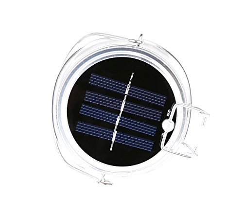 Sun Jar von CasaBasics – attraktive und hochwertige Solarlampe im Einmachglas mit 4 LEDs – Solarleuchte - 7
