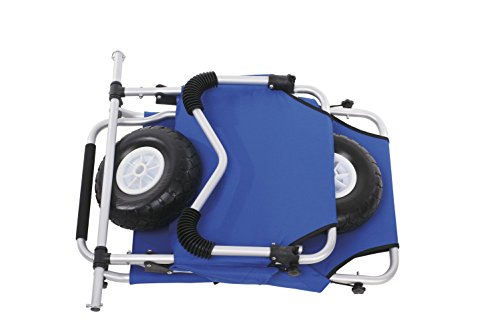 Ascan Beachbuggy Transportwagen und Sitz mit Sonnendach - 6