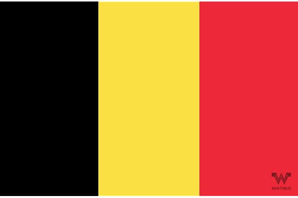 WHATABUS Autocollant Drapeau Belgie 8,5 x 5,5 cm