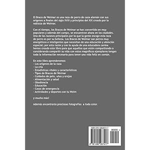 El Braco de Weimar: El Legendario Fantasma Gris