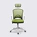 Produktbild Boss Chair, Gaming Stuhl, Luxus Racing Sport High Back Freizeit Mesh Swivel Bürostuhl Schalensitz Executive Office Desk Chair - Weiß (Color : Green)