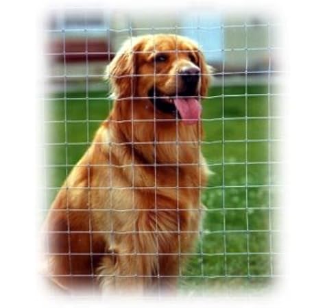 6ft fencing for dogs