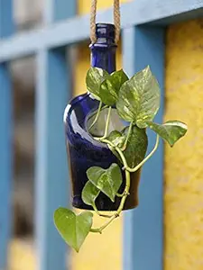 Kavi The Poetry-Art Project Kavi Recycled Glass Bottle Hanging Planter Antiquity Blue Planter | Size 8 inch Height X 3.5-inch Diameter | Rope Length 10 inch approx.