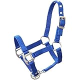 Miniline, Nylonhalfter ''Petit'' für Minishettyfohlen/ Minishetty-klein, marineblau