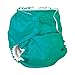 Rumparooz One Size Snap Cloth Pocket Diaper, Peacock