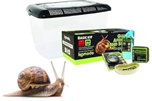 SIPW Komodo Basic Giant African Land Snail Kit (Land Snail Kit)