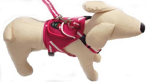 Lovebledog Dog Sport Back Pack with Lead, Hot Pink