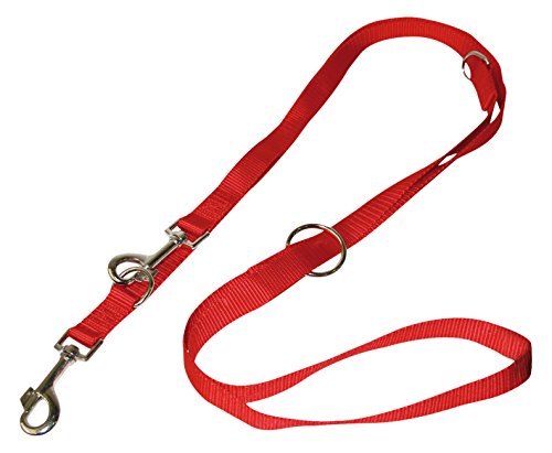 Croci Laisse Nylon Educative pour Chien Rouge 19x2200 mm