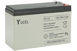YUASA - BATTERIE YUASA YUCEL Y7-12
