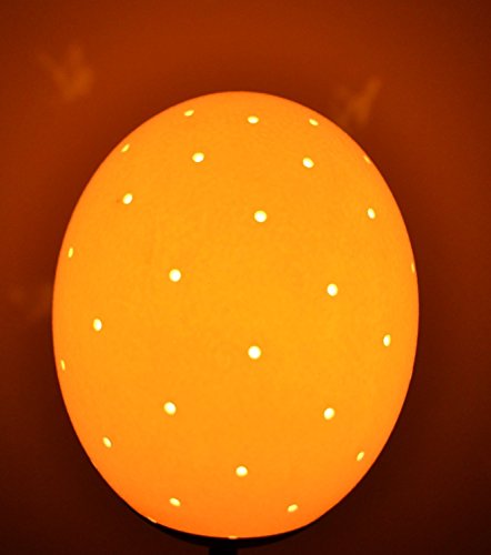 Straußenei-Lampenschirm "Löcher überall" - Straußenfarm Chemnitz