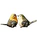 Generic Pair Creative Rural Garden Decor Desk Decor Emulation Bird Christmas Gift RS.590.00