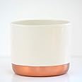 Thompson & Morgan Two-Tone White & Rose Gold Medium Ceramic Plant Flower Pot Round Modern Design for Indoor House Plants Succulents 1 x Medium White & Rose Gold Ceramic Pot