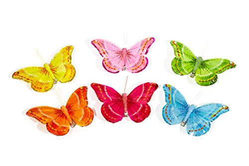 Heitmann Deco 30078 Federschmetterlinge mit Clip 6-teilig Plastik, 19 x 13,5 x 1,5 cm, Bunt