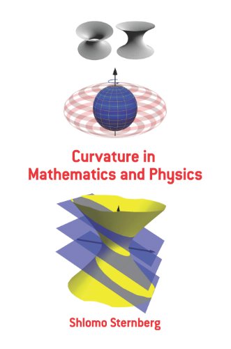 Livres Couvertures de Curvature in Mathematics and Physics