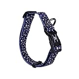 Muster: Fest PENVEAT 19 Colors Adjustable Rainbow Nylon Strap Dog Collar for Small and Big Pet Dogs Collars SML,BM0100H,M