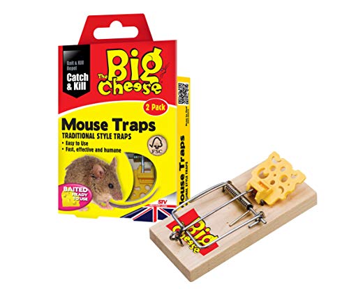 Dicoal STV100 - Ratonera Pack de 2